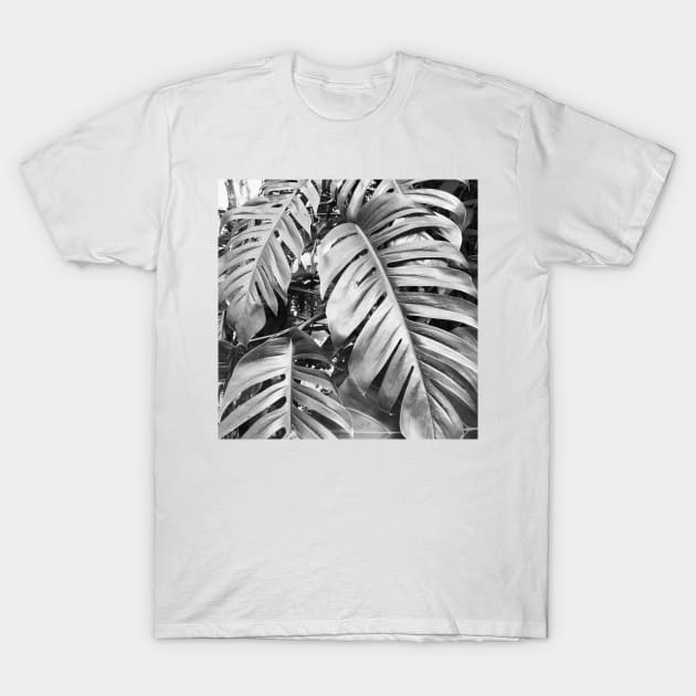 Black and white palm tree T-Shirt by AlexandraStr